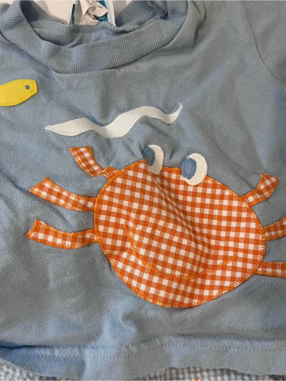 Funtasia Too Baby Boy Swim Set 12m Crab Seersucker Swim Trunks Light Blue